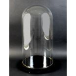 A large Victorian glass dome, on a circular ebonised wooden base with three feet, 30 by 55cm high.