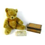 A mid 1970's Farnell teddy bear, mohair body and embroidered nose, 46cm long, together with a