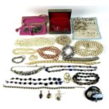 A collection of twenty six costume jewellery necklaces including a single strand of multicoloured