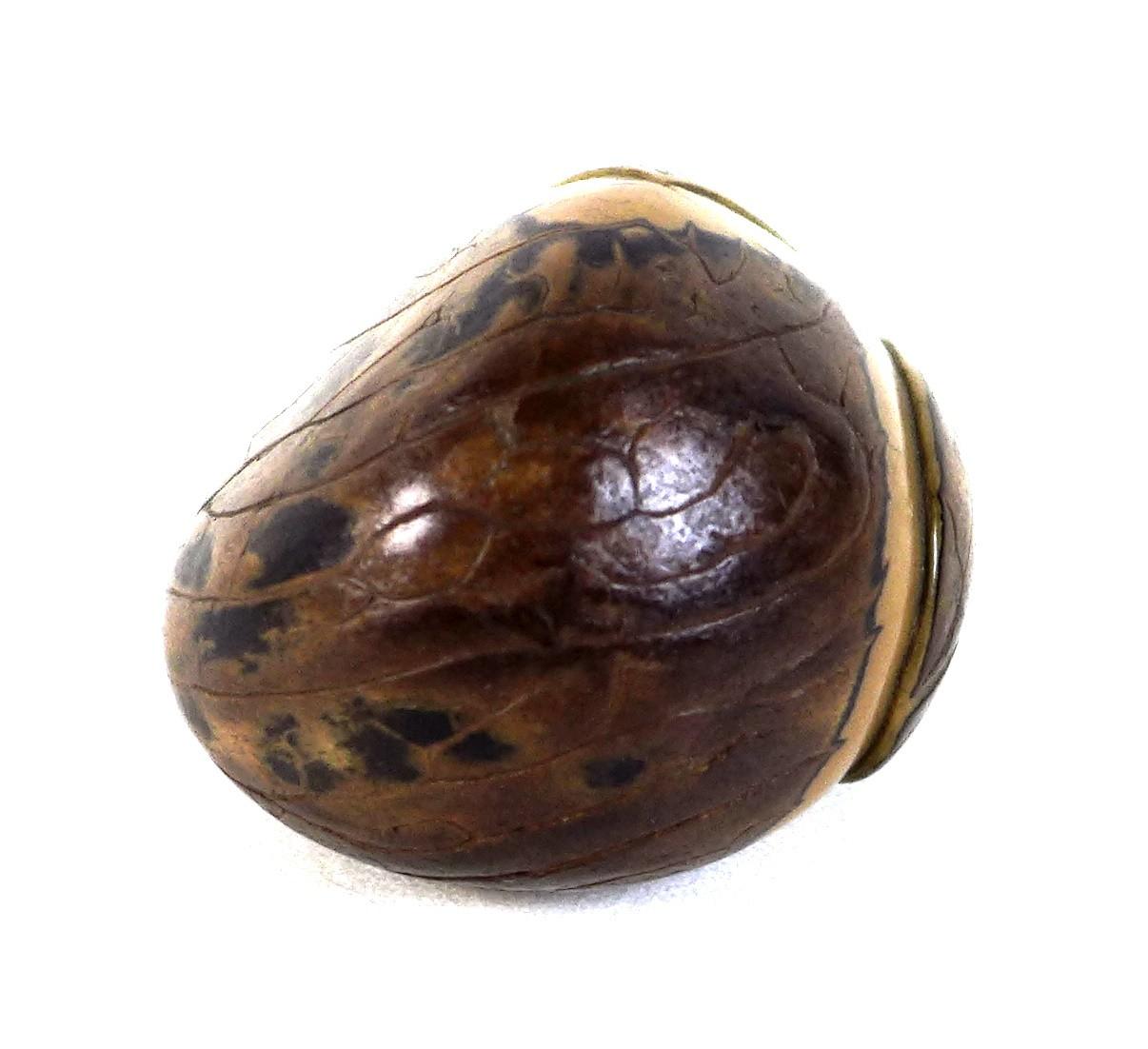 A Japanese Katabori netsuke, likely Meiji period, made out of a tagua nut and shell and carved in - Image 3 of 7