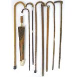 A collection of eight walking sticks, including a briarwood stick, some with carved handles,