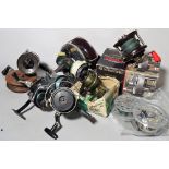 Fishing equipment; reels, sea coarse and fly, a Speedex fly reel, two Abu Cardinal reels,