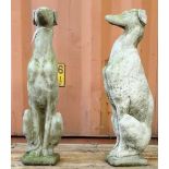A pair of reconsituted stone figures of greyhounds, 74cm high.
