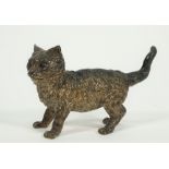 A Bergmann style Austrian cold painted bronze cat, late 19th century, modelled standing,