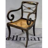 A Regency parcel gilt ebonised open armchair with 'X' frame back and sabre supports,