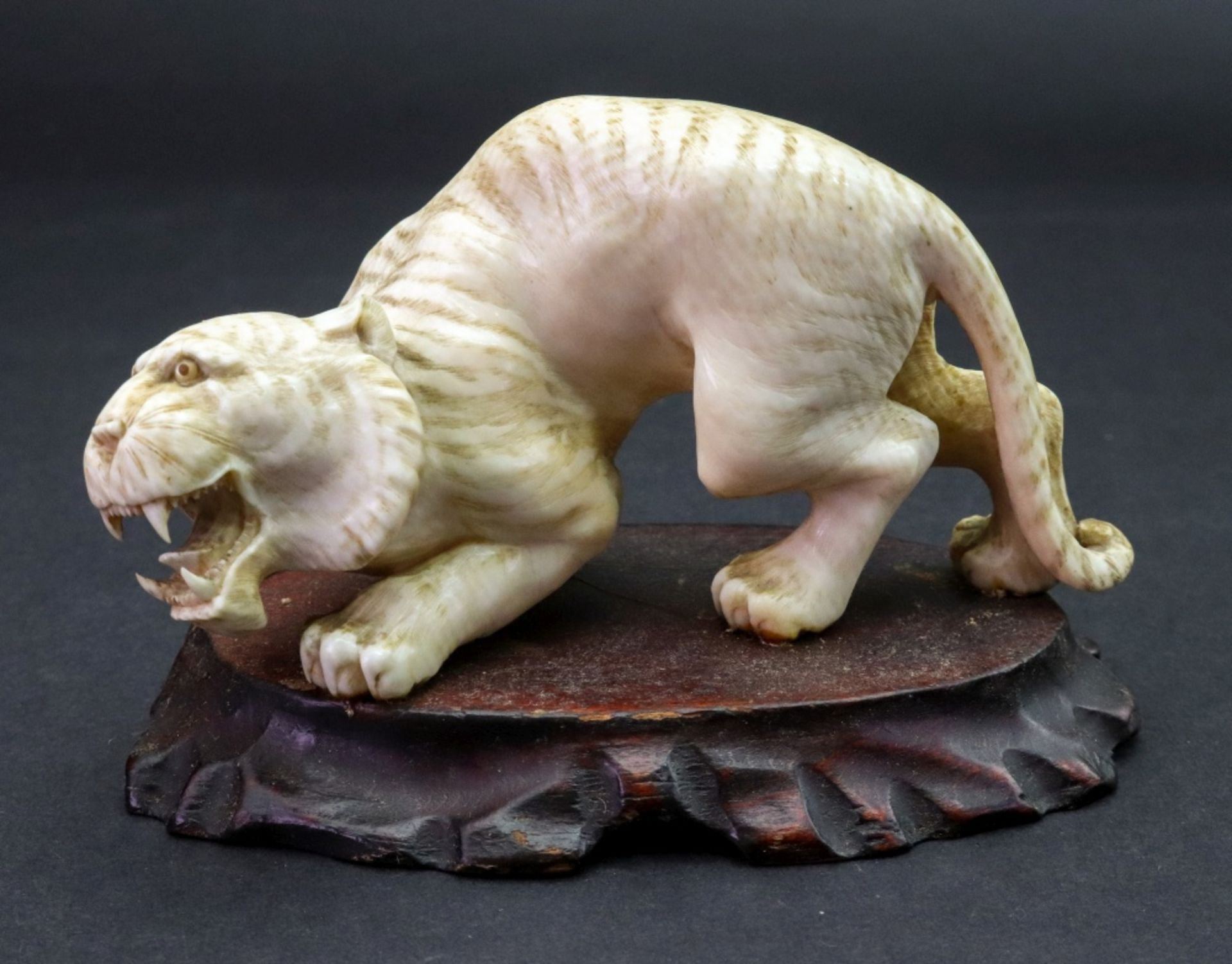 A Japanese ivory figure of a tiger, Meiji period, carved crouching with teeth bared, 11.