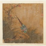 Chinese school, possibly Ming dynasty, a painting of a pheasant perched on rocks,
