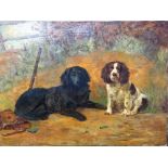 English School (19th century), Two Spaniels, oil on canvas, unframed, 50.5cm x 69cm.