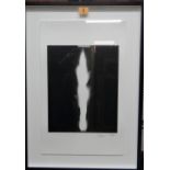 Susan *** (contemporary), 'Flame', print, signed and numbered 10/225, 45cm x 28cm.