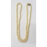 A single row necklace of uniform cultured pearls, on a 9ct gold and cultured pearl set clasp,