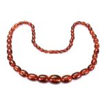 A single row amber bead necklace of grad