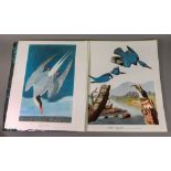 DOCK JR (George) The Audubon Folio, Harry N Abrams, New York, 1964.