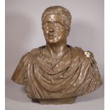 A faux bronze bust of Caesar Augustus, 60cm wide x 60cm high.