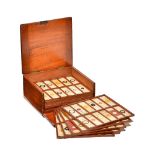 One hundred and forty-one microscope slides, late 19th century, amateur and professional mounts,