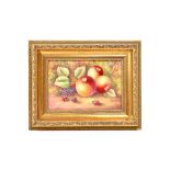 A Royal Worcester porcelain plaque painted with fruit by J Skerrett and housed in a giltwood frame,