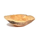 B. Gomatt; a 20th century horse chestnut burr bowl, 51cm wide x 12cm high. Illustrated.