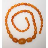 A single row necklace, of graduated varicoloured butterscotch coloured oval amber beads,