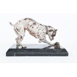 An Austrian cold painted bronze Old English bull dog 'Billy and the Rat' on a polished marble