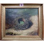 B** Hold (19th/20th century), Studies of birds nests, a pair, oil on canvas, both signed, each 24.