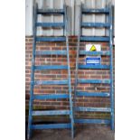 Two 20th century blue painted A-frame eight rung ladders, 20cm high, (2).