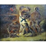 Follower of William Henry Hamilton Trood, Puppy and chicks, oil on panel, 14cm x 17cm.