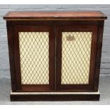 A 19th century rosewood side cabinet, with a pair of grille doors on plinth base,
