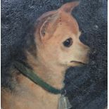 English School (19th century), Head studies of chihuahuas, two, one oil on board,