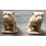 A pair of reconstituted stone figures of seated bulldogs, 30cm wdie x 40cm high.