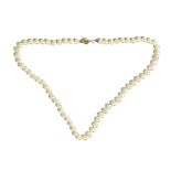 A single row necklace fo uniform cultured pearls, on a gold clasp, detailed 750,