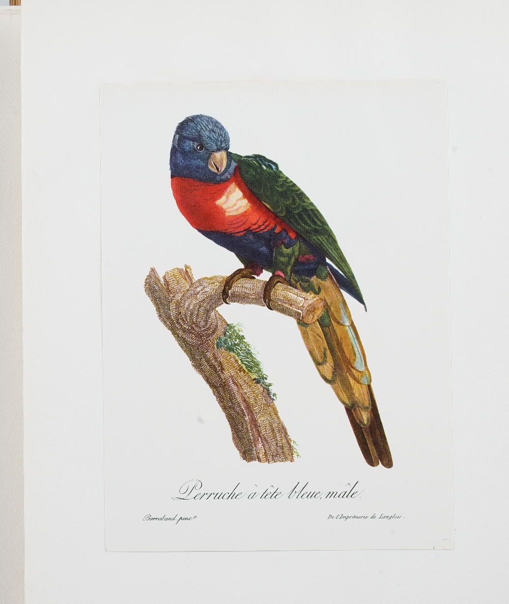 After J. L. Prevost, Botanical and fruit studies, a set of thirteen colour prints, each 34cm x 26. - Bild 18 aus 19