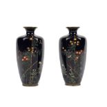 A small pair of Japanese cloisonné vases by Hayashi Chuzo, Meiji period,