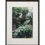 A Christopher Simon Sykes image of 11th Duke of Devonshire at a Greenhouse in Chatsworth, 1995,