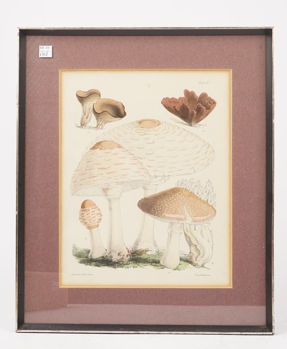 Prints and Engravings, a small miscellany of loose and framed items, - Bild 3 aus 7