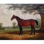 Edwin Brown (British 1814-1891), A portrait of a chestnut horse in a landscape, oil on canvas,