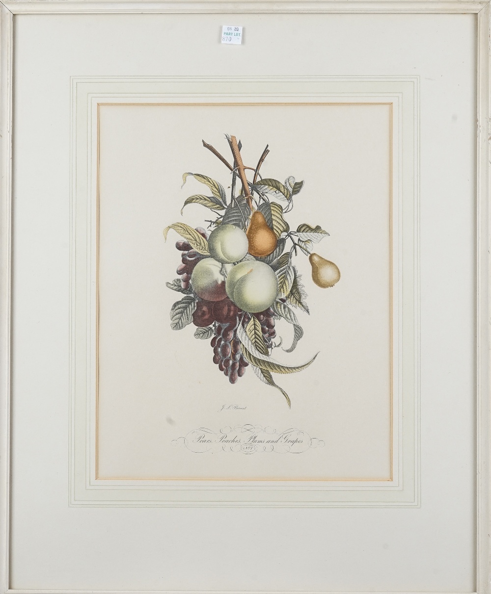 After J. L. Prevost, Botanical and fruit studies, a set of thirteen colour prints, each 34cm x 26. - Bild 11 aus 19