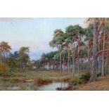 Harry Sutton Palmer (British 1854-1933), A woodland pool, watercolour, signed, 35.5cm x 52cm.