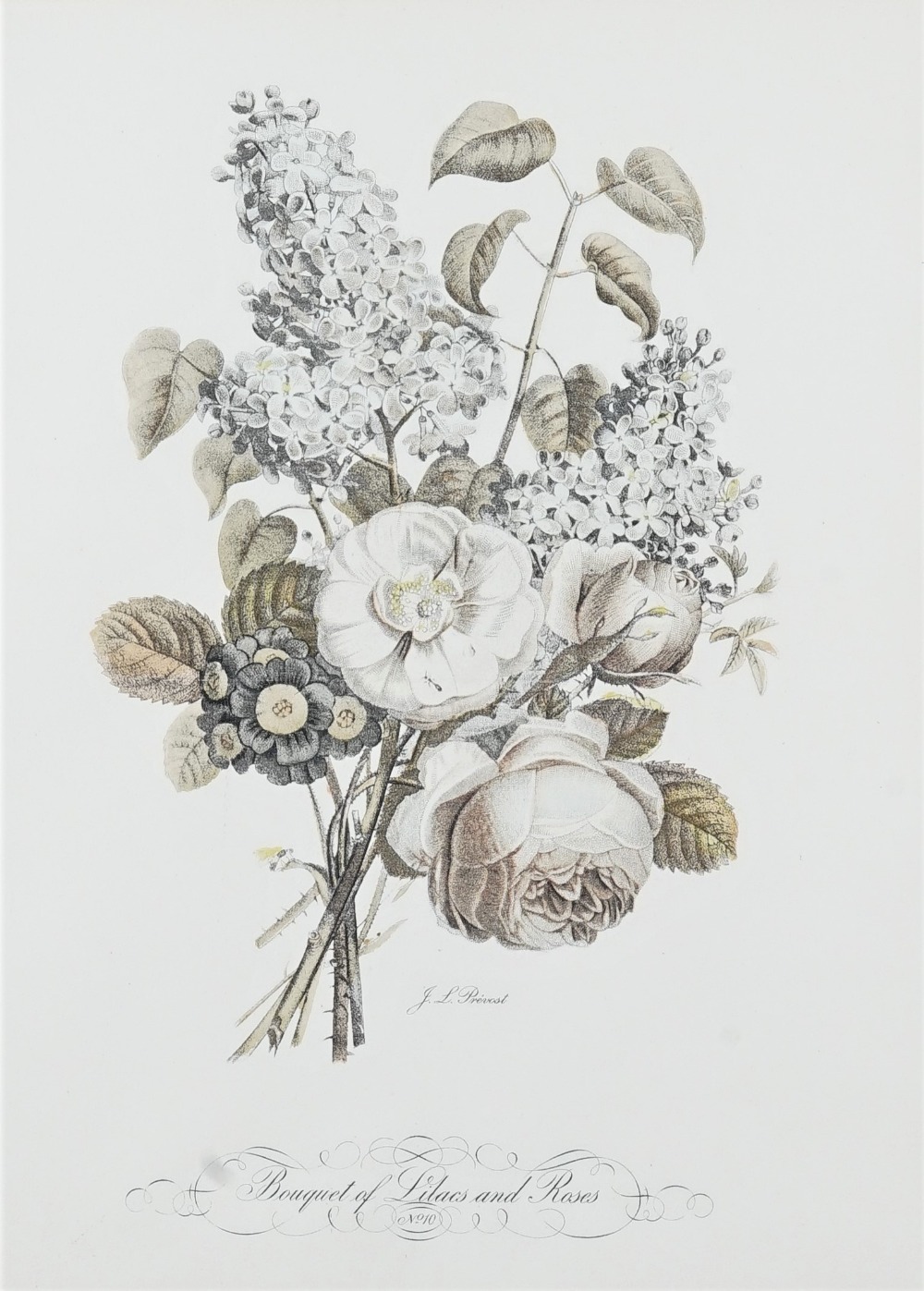 After J. L. Prevost, Botanical and fruit studies, a set of thirteen colour prints, each 34cm x 26.