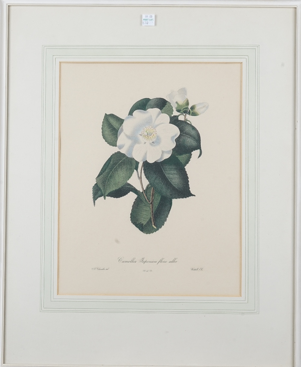 After J. L. Prevost, Botanical and fruit studies, a set of thirteen colour prints, each 34cm x 26. - Bild 6 aus 19