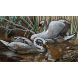 Charles Frederick Tunnicliffe (British, 1901-1979), Swans; Pintail ducks; Birds following a plough,