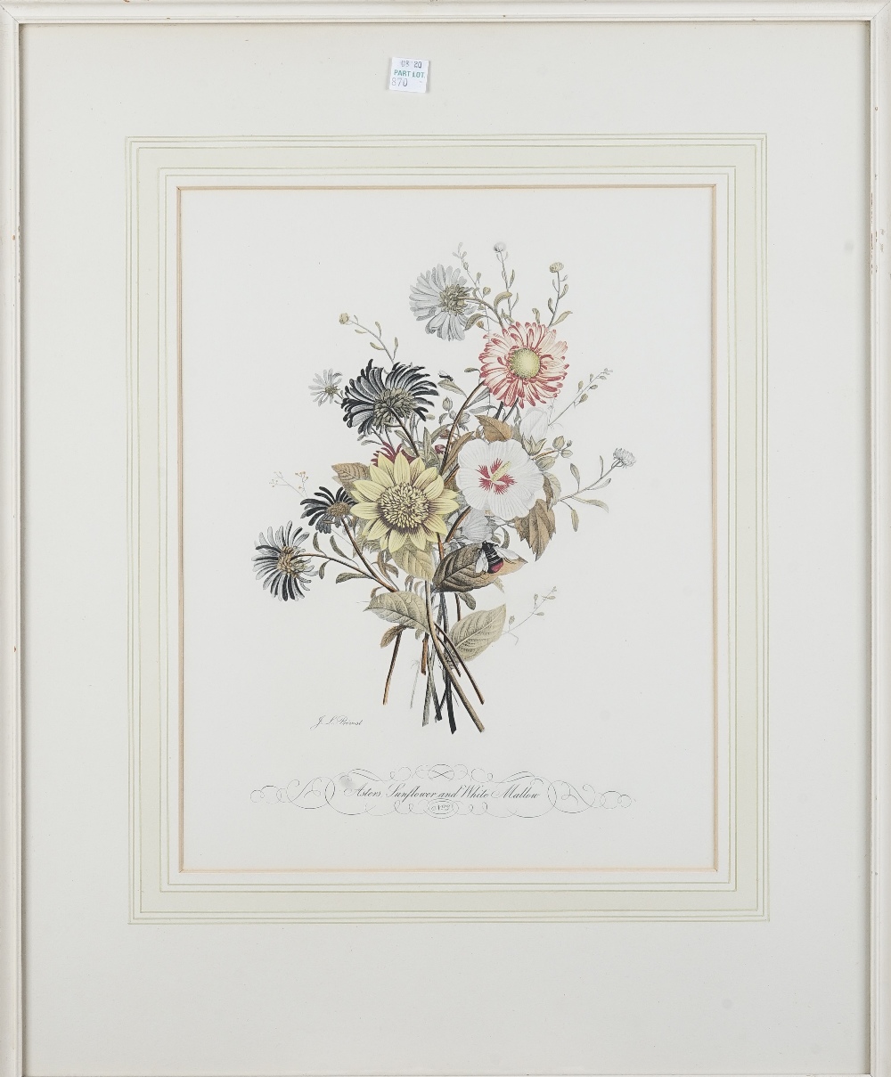 After J. L. Prevost, Botanical and fruit studies, a set of thirteen colour prints, each 34cm x 26. - Bild 4 aus 19