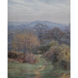 Edith Martineau (British, 1842-1909), A path through a landscape, watercolour, signed, 28cm x 22.
