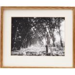 Eugene Atget (1857-1927), photograph of the Parc De Sceaux, Paris, circa 1925, unsigned,