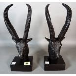 A modern pair of composite bronze bookends formed as an ibex, 32cm high,