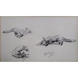 Michael Lyne (British, 1912-1989), Studies of foxes, pencil, 16cm x 26.5cm.