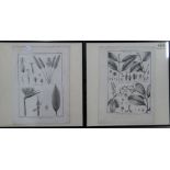 After Fossier, Histoire Naturelle, a group of eleven engravings by Benard, each approx 28cm x 21cm.