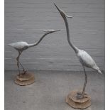Two architectural lead garden figures of herons, on octagonal reconstituted stone bases,