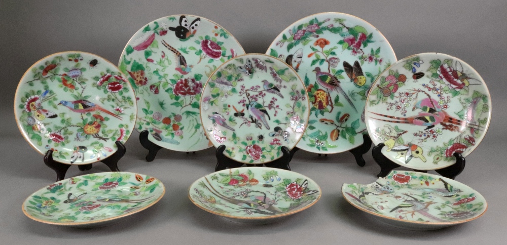 A set of eight Canton plates, late 19th century, painted with birds,