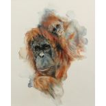 Nikki Trowers (20th Century), Orangutan,