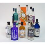 Box 36 - Gin Wild Fox Gin Wanderer Provence Gin Never Never Southern Strength Gin Darleys Gin Never