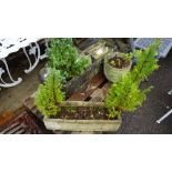 Garden statuary comprising a reconstituted stone rectangular planter 93cm wide x 20cm high,